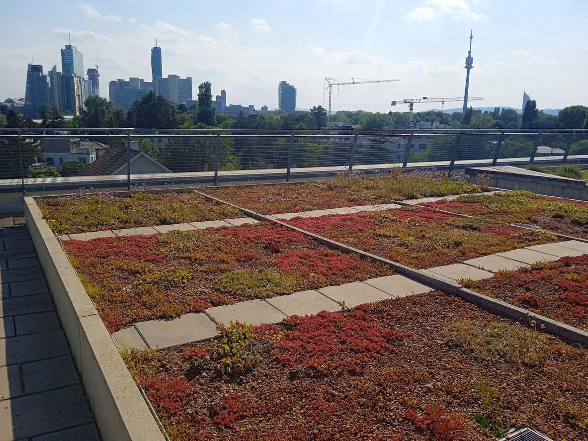 Begrüntes Flachdach mit Aussicht auf Skyline