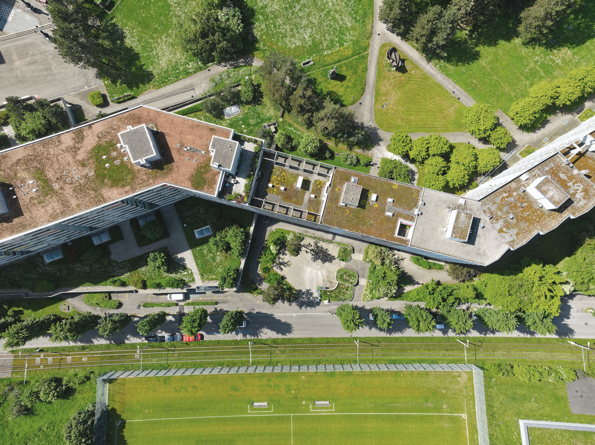 Drohnenaufnahme eines begrünten Flachdachs